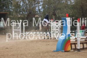 IMG_4537