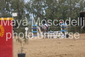 IMG_4552