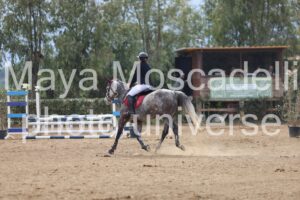 IMG_4560