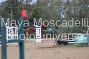 IMG_4628