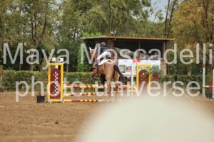 IMG_5918