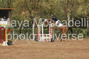 IMG_5930