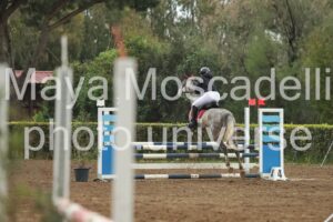 IMG_5979