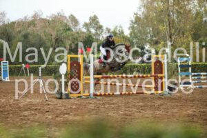 IMG_5982
