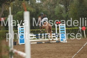 IMG_6009-2
