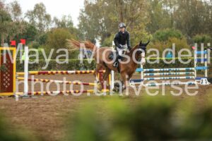 IMG_6014-2