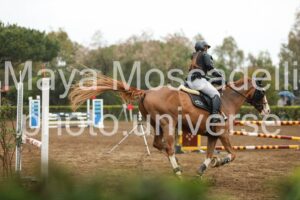 IMG_6025-2