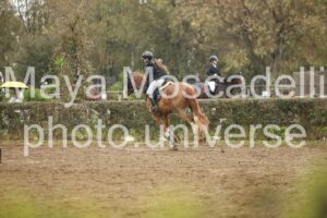 IMG_6028-2