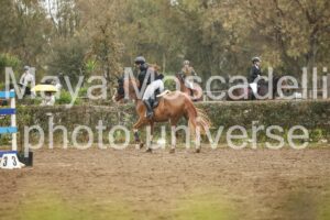 IMG_6029-2