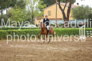 IMG_6071