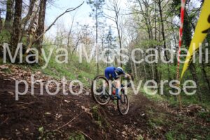 IMG_6241