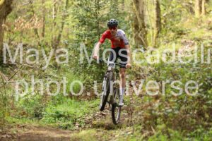 IMG_6460