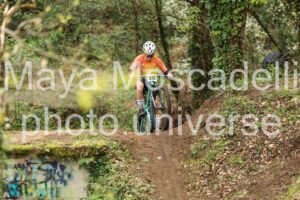 IMG_6731
