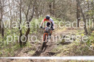 IMG_7006