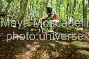 IMG_0179