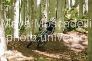 IMG_0528