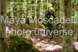 IMG_0607