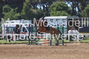 IMG_9361