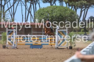 IMG_9384