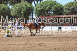 IMG_9393