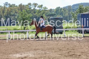 IMG_9408