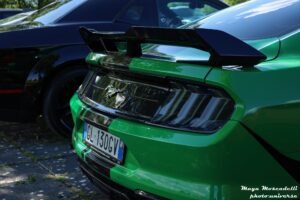 IMG_9740
