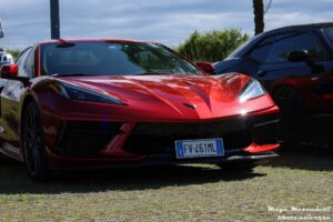 IMG_9764