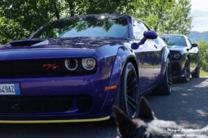 IMG_9765