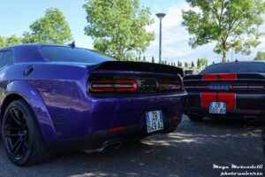 IMG_9769