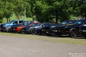 IMG_9780