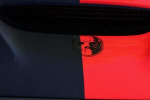 IMG_9800