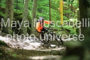 IMG_9845
