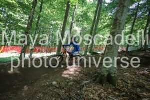 IMG_1764