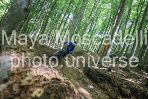 IMG_1772