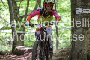IMG_2310