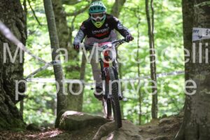IMG_2312