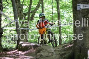 IMG_2329