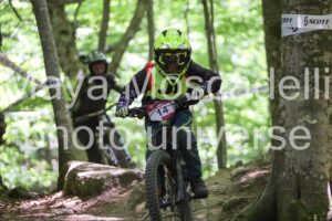 IMG_2339