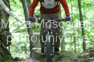 IMG_2362