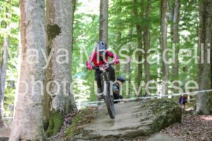 IMG_2395