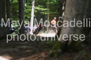 IMG_2409