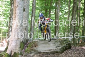 IMG_2417