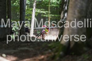 IMG_2446