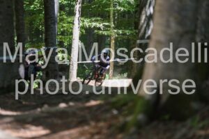IMG_2475