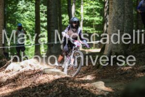 IMG_2478