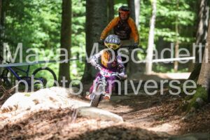 IMG_2491