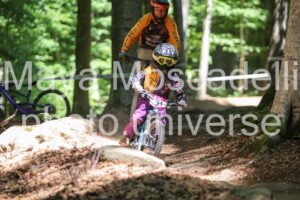 IMG_2492