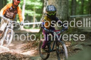 IMG_2495