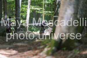 IMG_2510