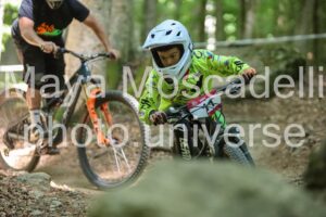 IMG_2524